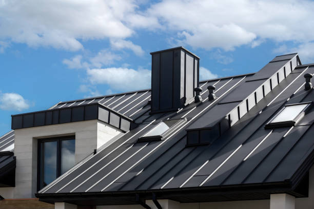 Best Skylight Installation and Repair  in Porcupine, SD